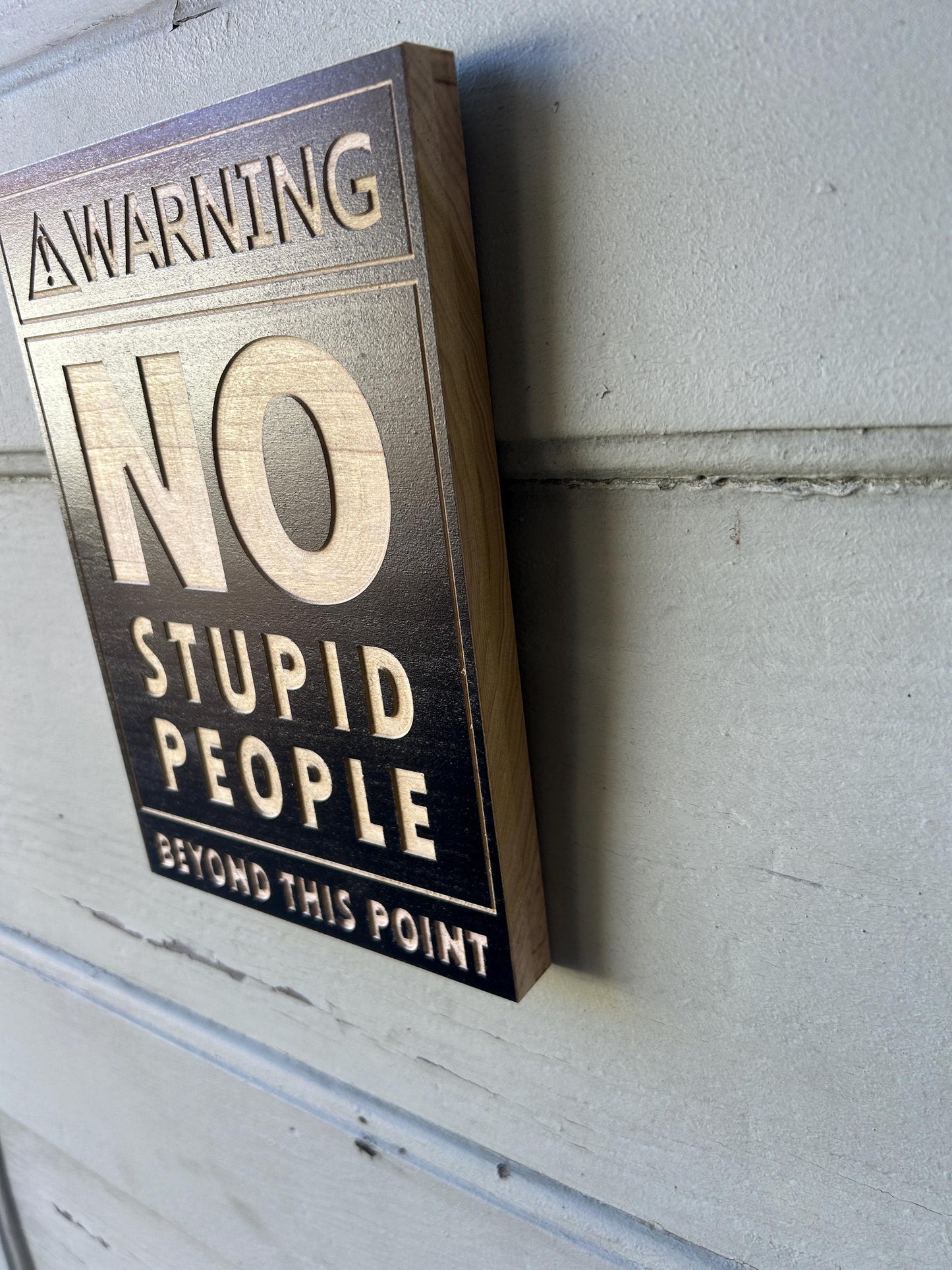 No Stupid People Sign for Gift, Funny Sign for home Decor, Funny office Sign, Finnu Gift, Bedroom wall hanging, Man Cave Sign
